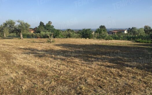 Formello, Land for sale area Praticello REF: 000CP 