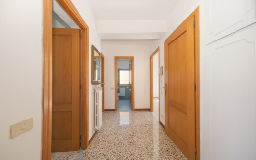 Cesano, large three-room apartment with terrace for rent. REF: ANN