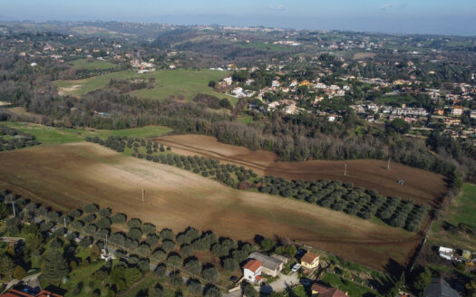 Sacrofano, Terreno con ulivi secolari – rif: pev.ter